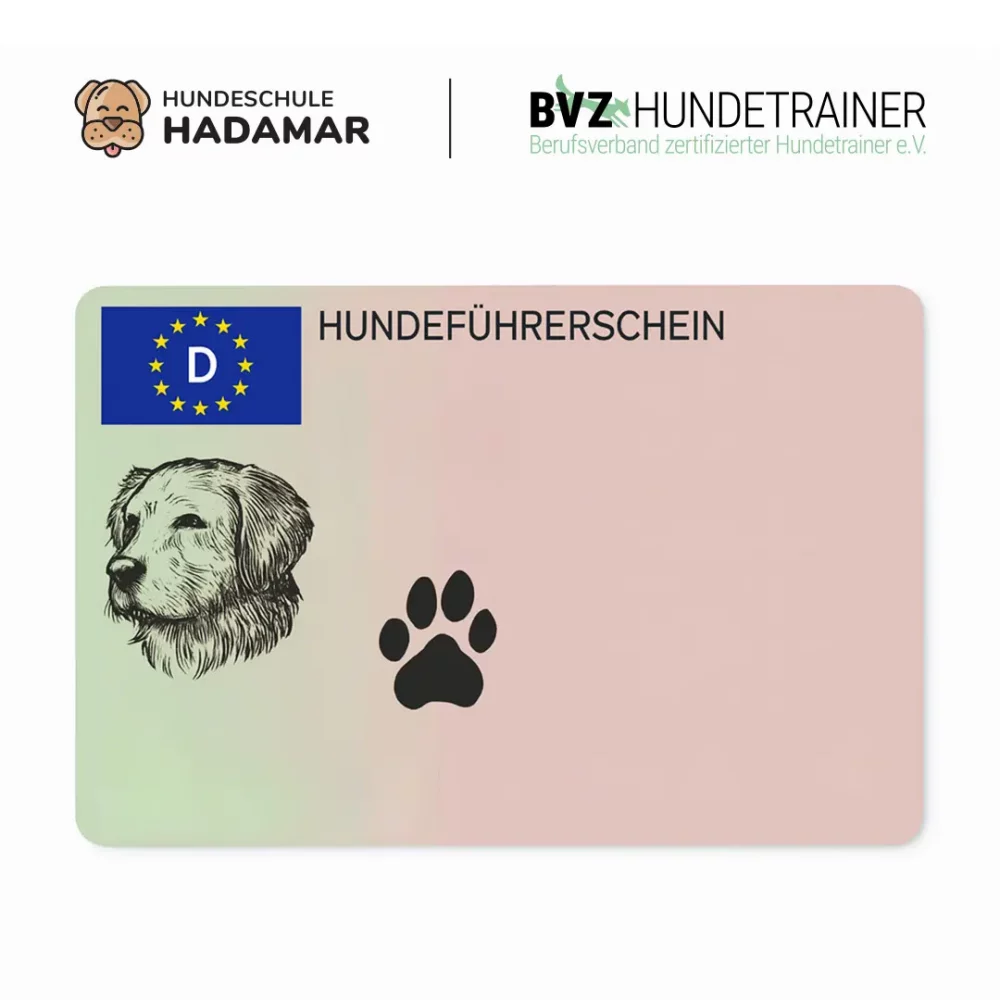 Hundeführerschein-4