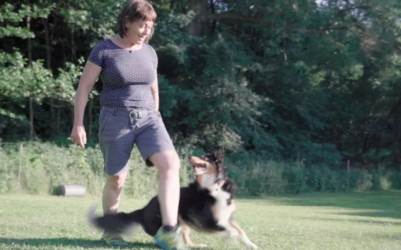 Stay-Fit-Sport-mit-Hund