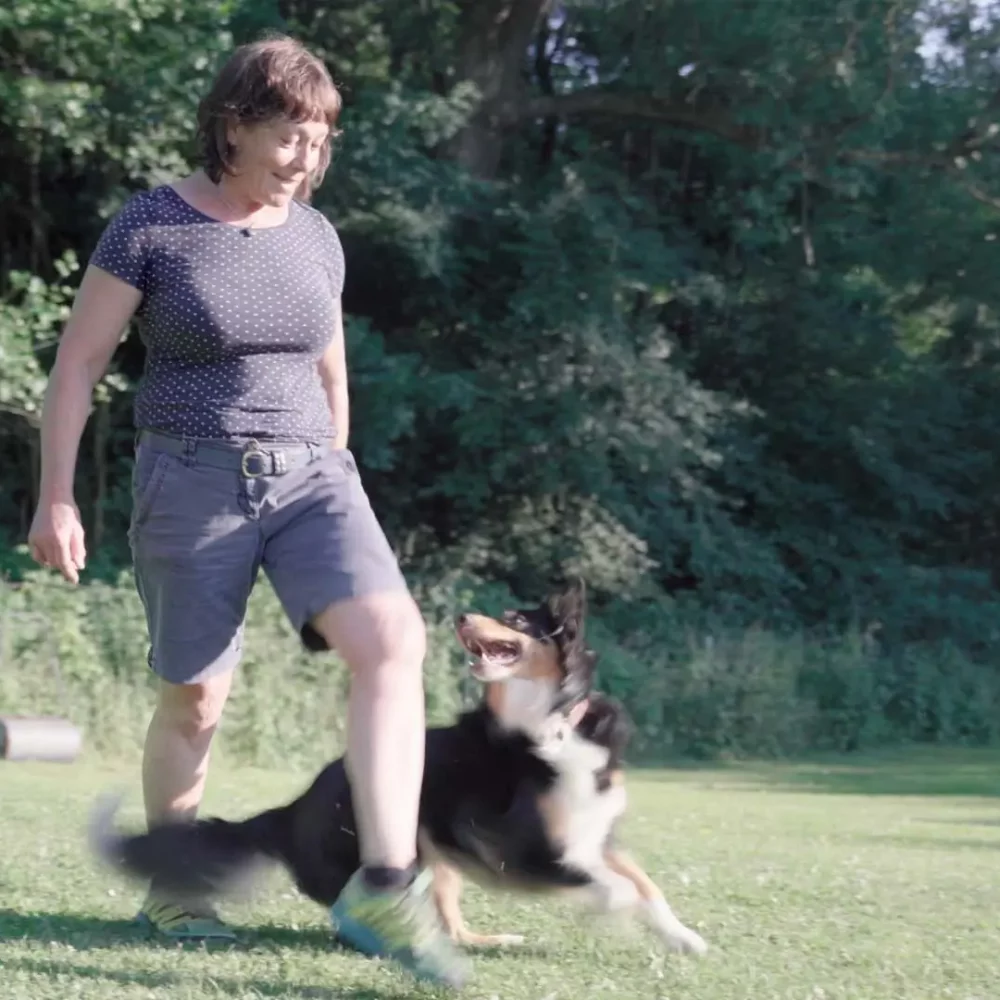 Stay-Fit-Sport-mit-Hund